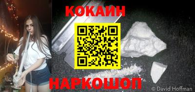 шишки Кингисепп