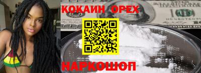 шишки Кингисепп