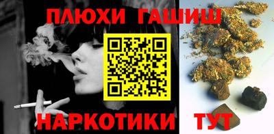 шишки Кингисепп