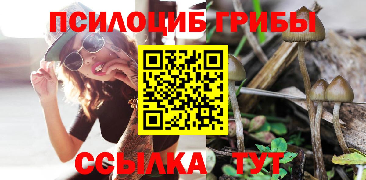Галлюциногенные грибы Psilocybine cubensis  Галлюциногенные грибы MAGIC MUSHROOMS  Вход с VPN  Гагарин 