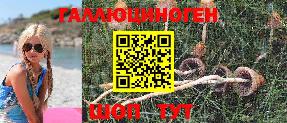 Галлюциногенные грибы Psilocybine cubensis Гагарин